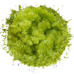 МАСАГО GREEN
